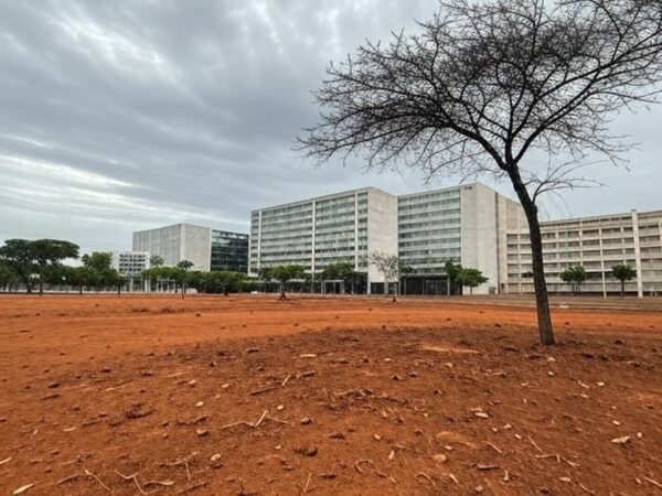 Vista de Brasília mostrando contrastes ambientais: áreas arborizadas e regiões degradadas no DF.