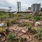 Horta urbana negligenciada no Distrito Federal, com plantas murchas e solo seco em Brasília.