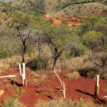 Paisagem da Serrinha no Paranoá ameaçada por desmatamento, com mata nativa do Cerrado e sinais de corte de árvores.