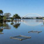 Vista do Lago Paranoá em Brasília com redes de pesca para controle de pirarucu invasor, autorizado pelo Ibama.