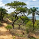 Paisagem da Serrinha do Paranoá transformada em parque ambiental em Brasília, com vegetação do Cerrado e vista para o Lago Paranoá.