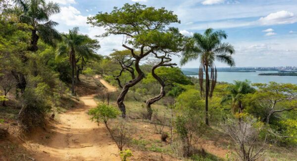 Paisagem da Serrinha do Paranoá transformada em parque ambiental em Brasília, com vegetação do Cerrado e vista para o Lago Paranoá.