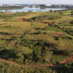 Área verde de 1.200 hectares no Lago Norte, Brasília, sendo transformada em parque ecológico.