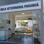 Clínica veterinária no Paranoá com serviços gratuitos de castração e exames para pets.