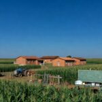 Campos rurais no DF com escolas e ações educativas no Dia do Campo.