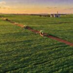 Campos de soja no Brasil representando aprovação de crédito rural pela CLDF