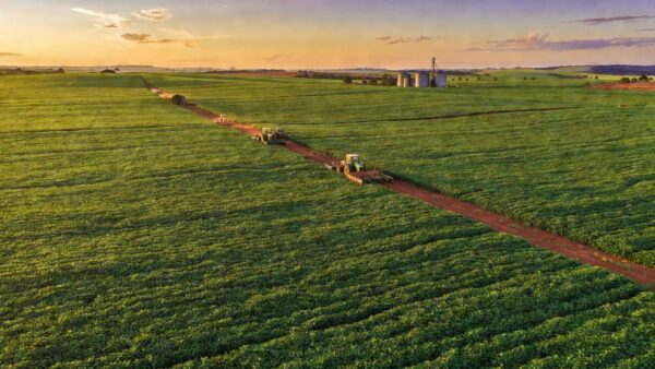 Campos de soja no Brasil representando aprovação de crédito rural pela CLDF