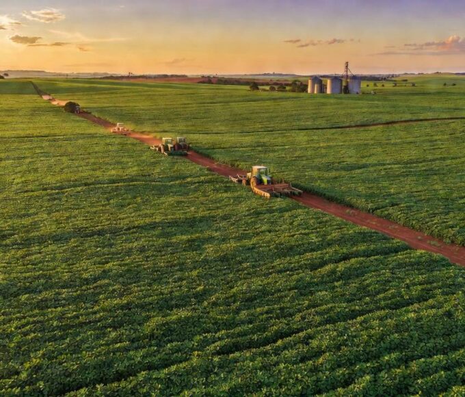 Campos de soja no Brasil representando aprovação de crédito rural pela CLDF