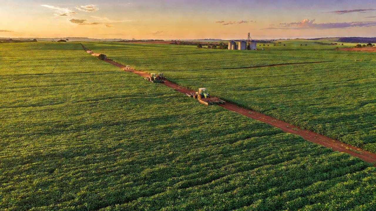 Campos de soja no Brasil representando aprovação de crédito rural pela CLDF