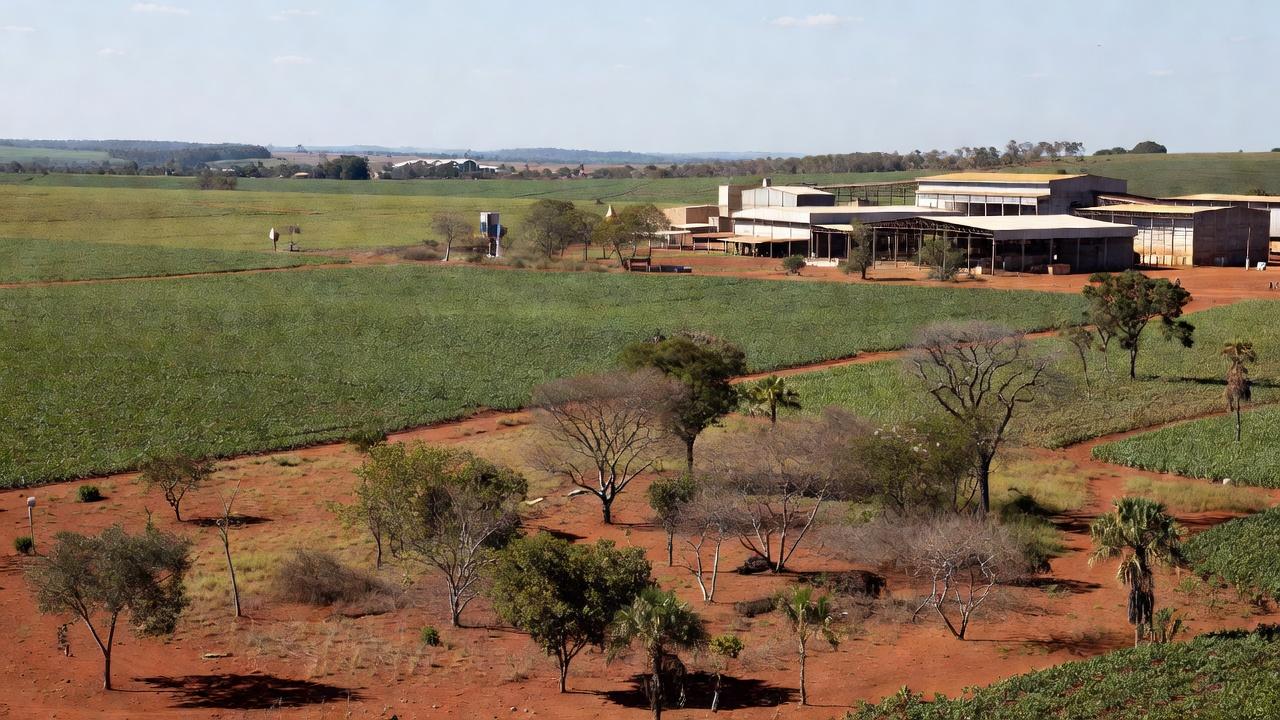 Polo Agroindustrial do Rio Preto em Planaltina com lavouras e instalações no cerrado do DF
