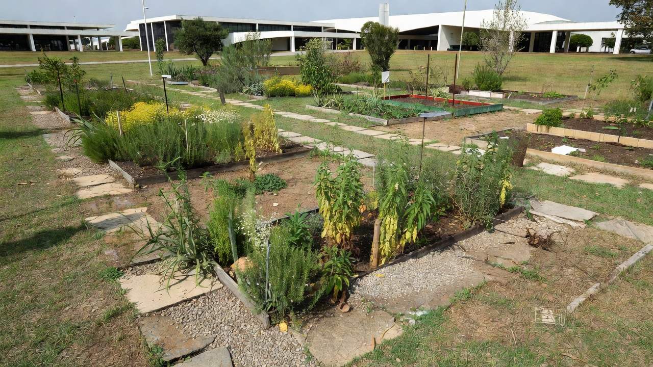 Jardim terapêutico negligenciado em Brasília simbolizando lei em risco