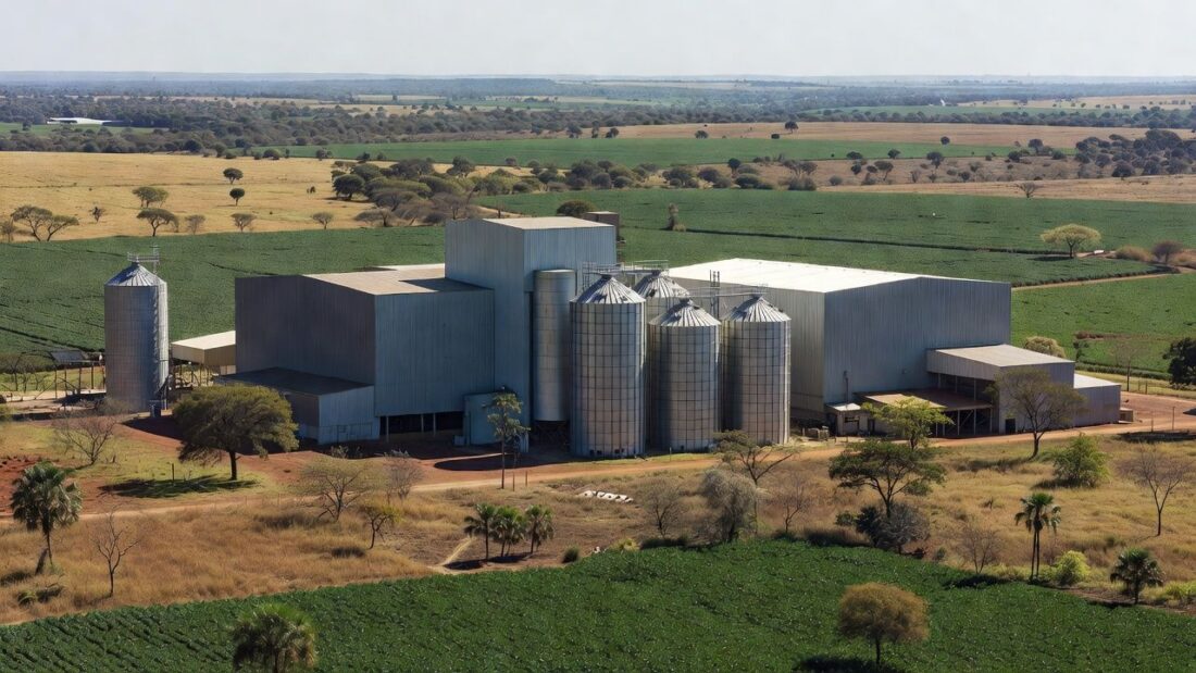 Campos rurais abandonados no DF devido à burocracia no agronegócio