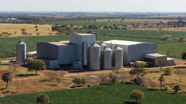 Campos rurais abandonados no DF devido à burocracia no agronegócio
