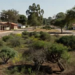 Região do Paranoá em Brasília, local da prisão por tráfico de cogumelos com psilocibina.