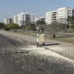 Rua W3 Norte em Brasília com pipocas espalhadas no asfalto após atropelamento.