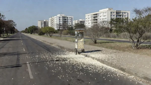 Rua W3 Norte em Brasília com pipocas espalhadas no asfalto após atropelamento.